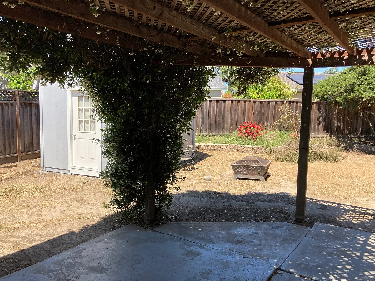 Backyard - 4266 Dallas Ct