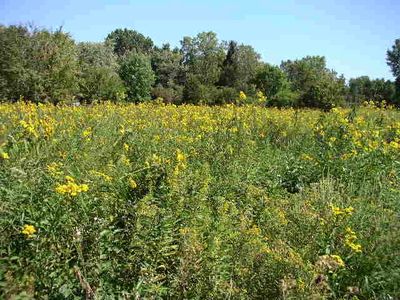 1110 W Alderwood Ln, Lake Forest, IL, 60045