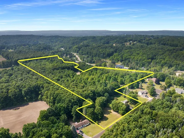 0 Walker St, Beulah, MI 49617