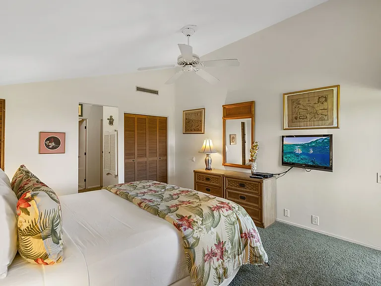 Wailea Alanui Dr — Photo 26