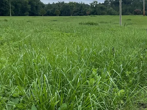 0 W Duncan Rd, Indian Trail, NC 28079