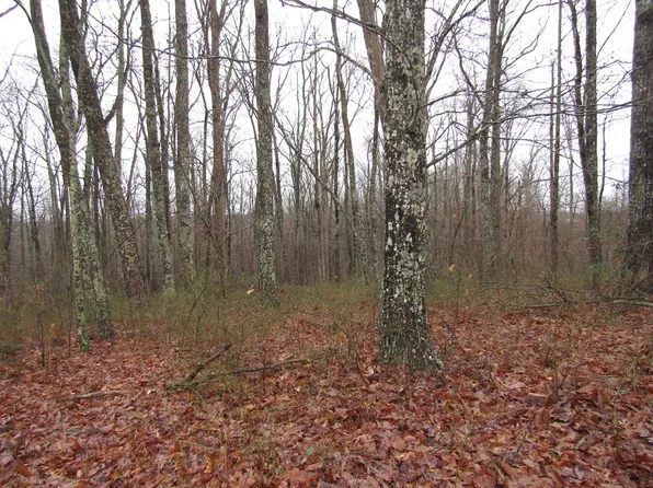 8021 W Blossom Ln, Crawford, TN 38554