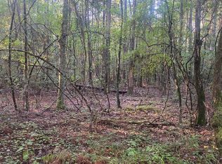 101 Kirby Creek Rd, Wiggins, MS 39577