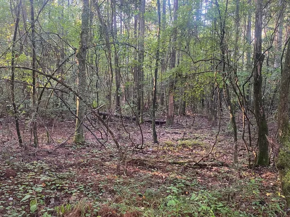 101 Kirby Creek Rd, Wiggins, MS 39577