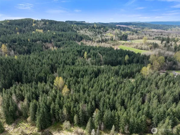 0 Tooley Road, Toledo, WA 98591