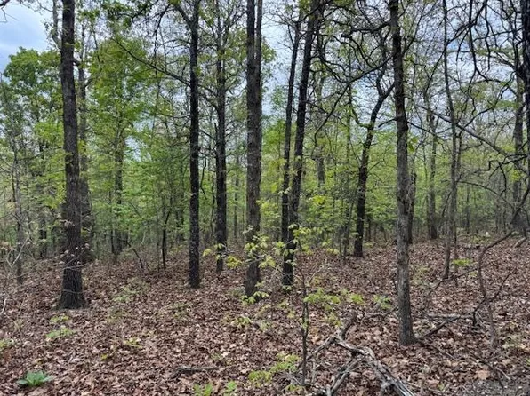 Wirth Rd, Mammoth Spring, AR 72554