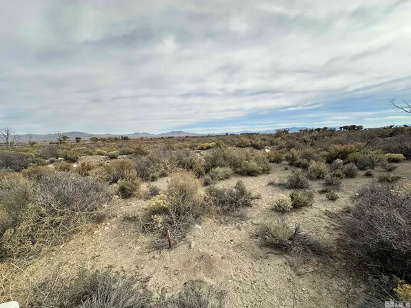 242 Artesia Rd, Wellington, NV 89444