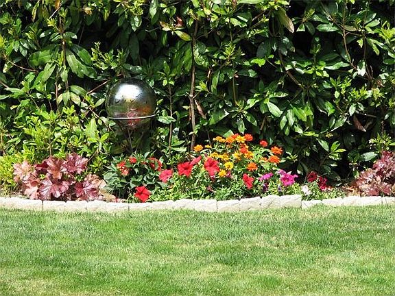 Back Yard Garden