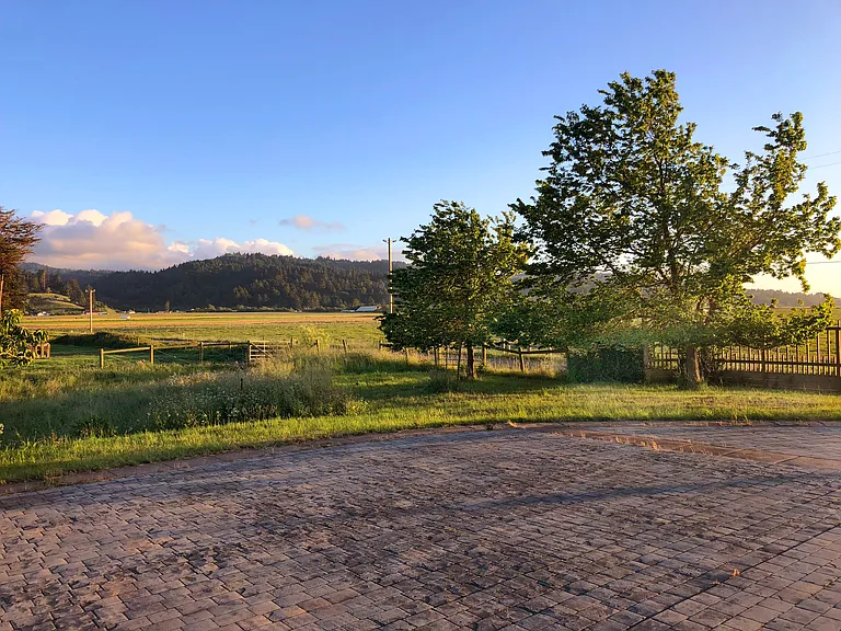 South view from the carriage house.