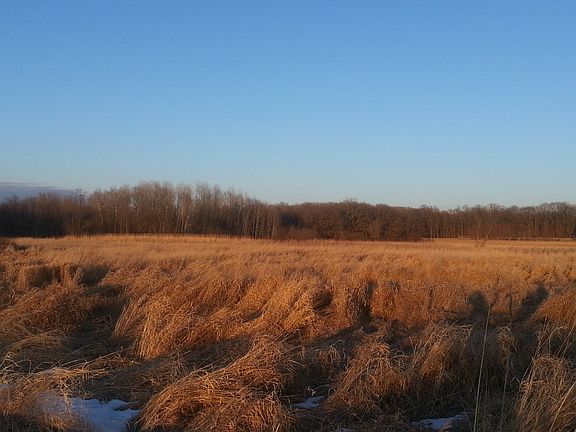 30 acres Hunting Browerville