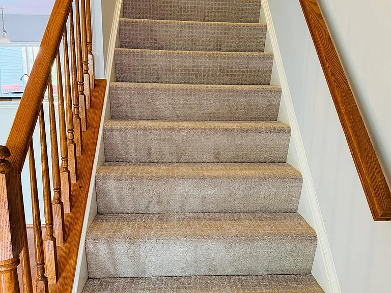 2503 Wheat Meadow Ct — Photo 3