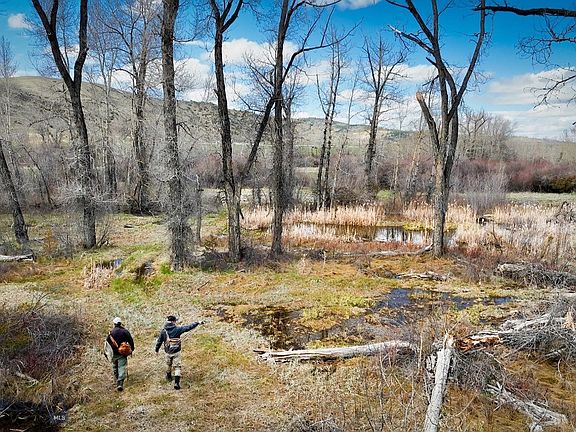 47th image of this home