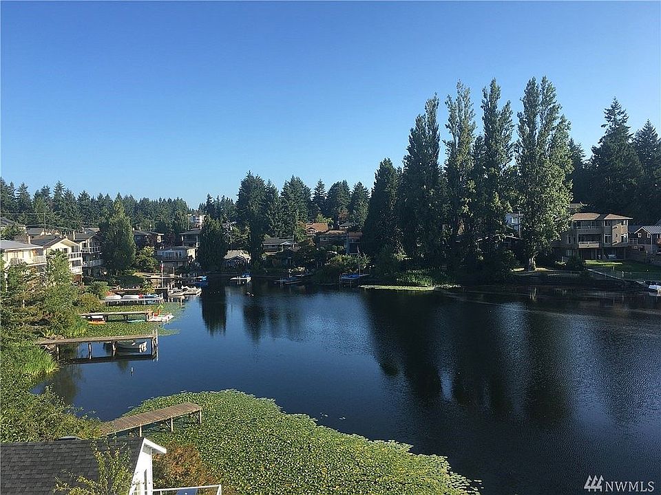 View from Dining room