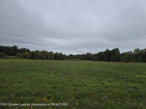 0 Barry Rd, Williamston, MI 48895