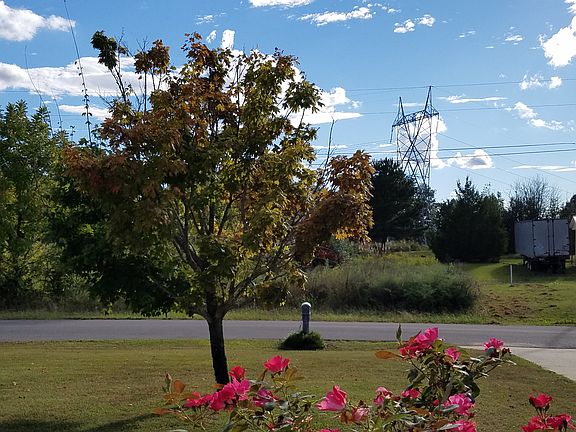 View from front porch