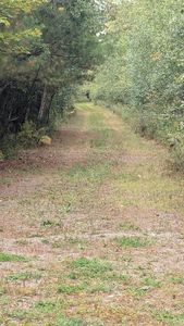 Lot 19 Cram Street, Bradley, ME, 04411