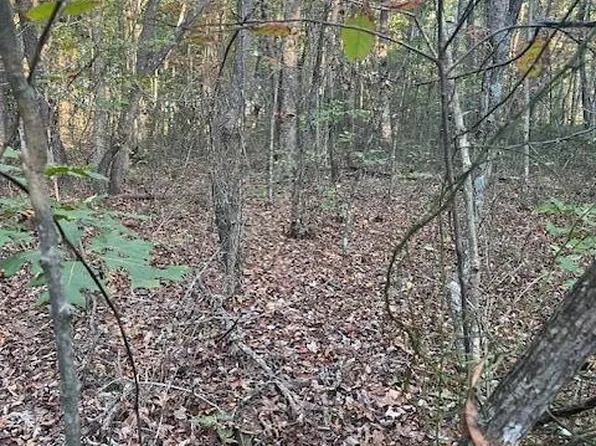 0 Jump Off Pl Lot 10, Monterey, TN 38574