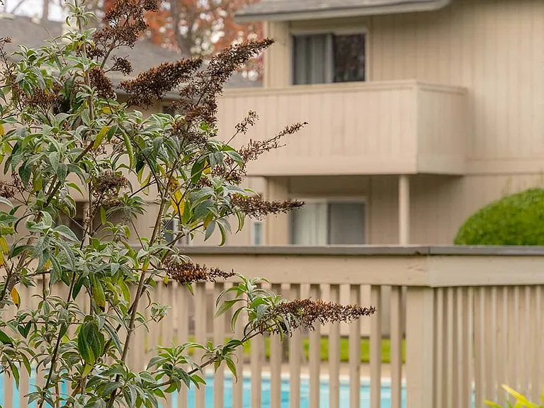 PARK CLUB APARTMENTS — Photo 4
