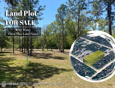 138 BRADFORD Street, Hawthorne, FL, 32640