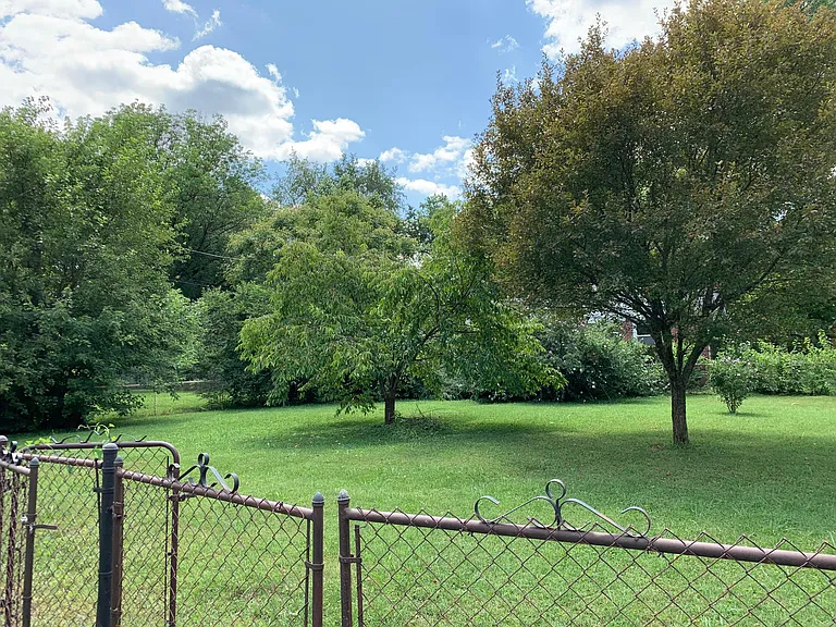 1116 Springview Dr — Photo 18