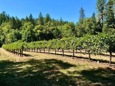 350 Mona Way, Cave Junction, OR, 97523