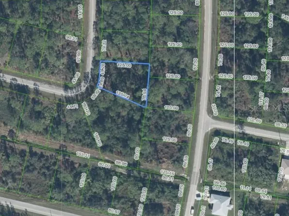 8324 MANTUA AVENUE LOT 41, SEBRING, FL 33872