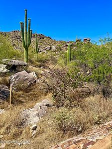 4560 W Horizon Ridge Dr, Marana, AZ, 85658