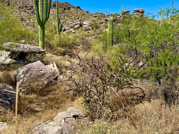 4560 W Horizon Ridge Dr, Marana, AZ 85658