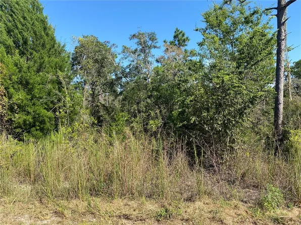Harrison St Lot 51, Brooksville, FL 34613
