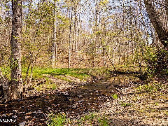 45th image of 596 Byrams Fork Rd