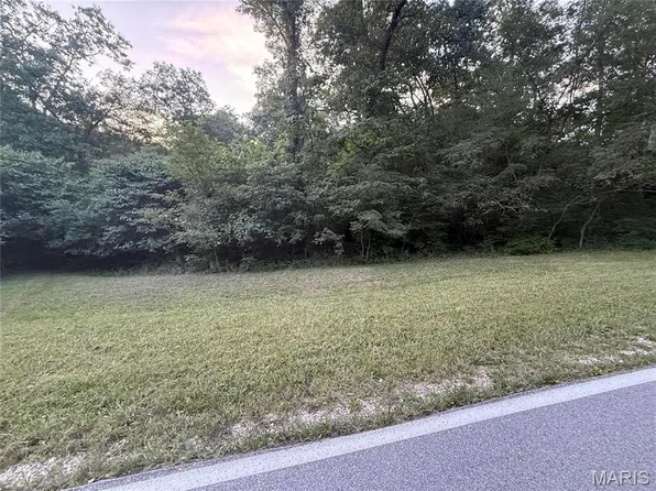 Pinckney St, Warrenton, MO 63383