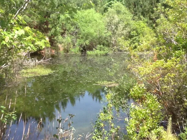 1164 McClammy Rd, Hampstead, NC 28443