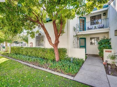 39289 Marbella Terraza #9N, Fremont, CA, 94538