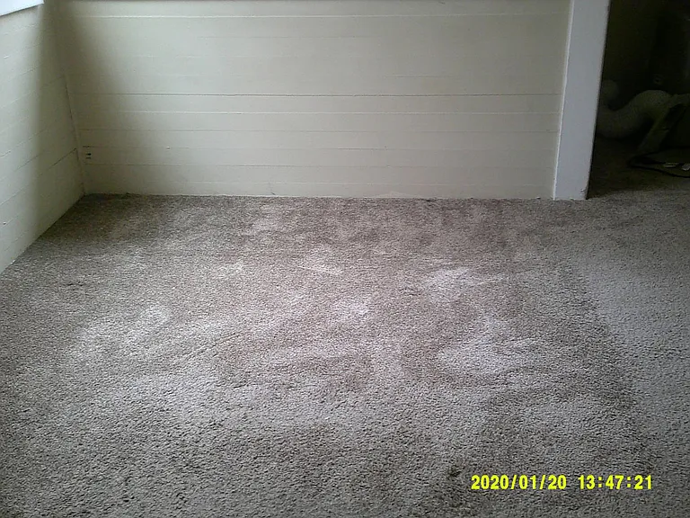 104 Walnut Ave — Photo 6