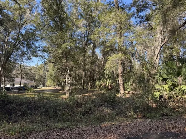 Sequoia Loop Trak Lot 14, Ocklawaha, FL 32179