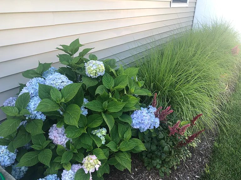 30 Tulip Ave — Photo 29