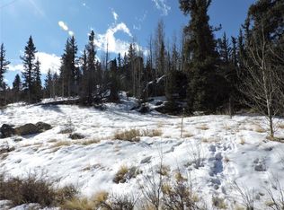 820 Swiggler Rd, Como, CO 80456