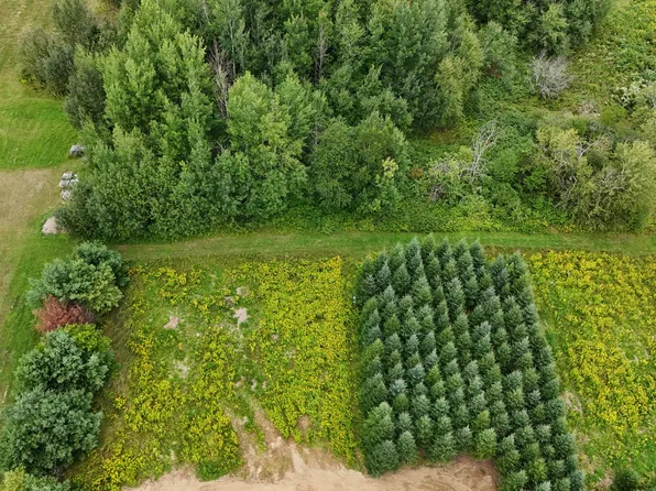 1 E Village Acres Dr. Drive E, Easton, ME 04740