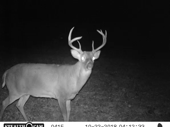 0 Steinbeck 52.21 Acres Rd, Hermann, MO 65041