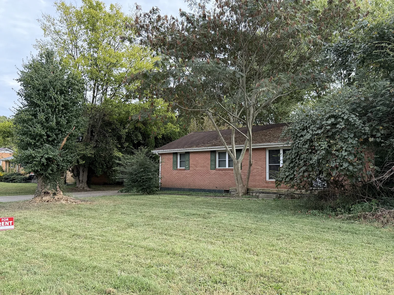 4 bed, 1580 sqft, $1,450 — Photo 4