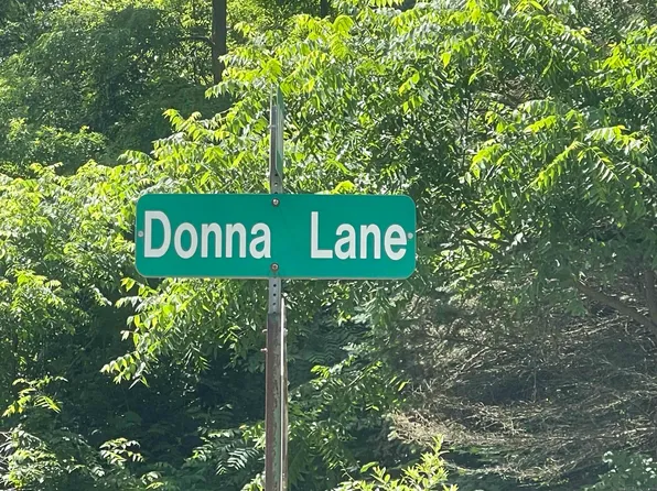 0 Donna Ln, Dryden, MI 48428