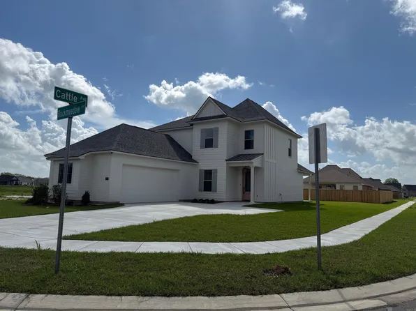 37253 Buckmeadow Ave, Prairieville, LA 70769