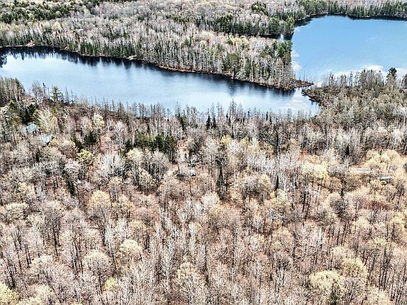 4th image of 12032 S Crab Lake Rd