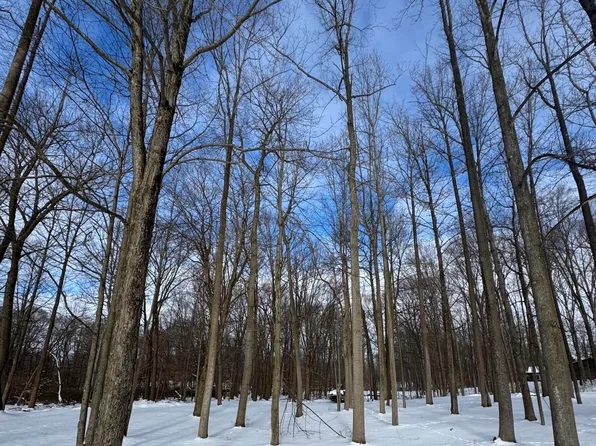 Timberlane Dr, Jones, MI 49061