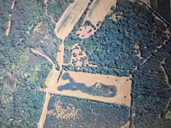 TBD Bratcher Rd., Conway, SC 29526