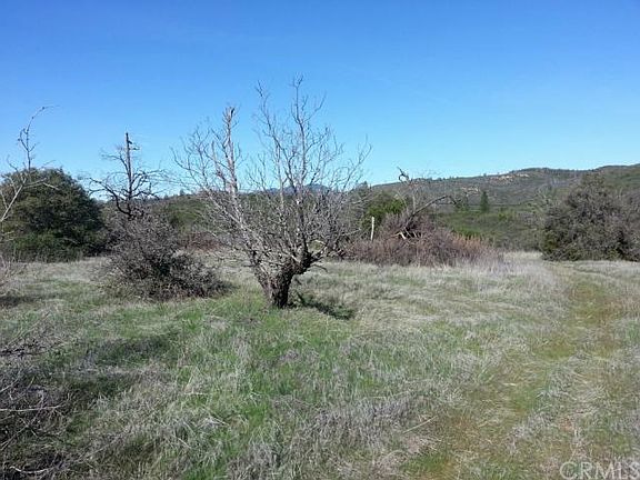 3rd image of 12633 Diener Dr