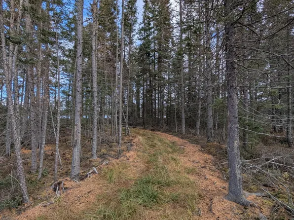 Slough Lake Rd, Gwinn, MI 49841