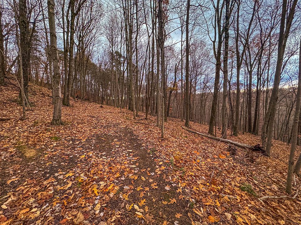 31st image of this home