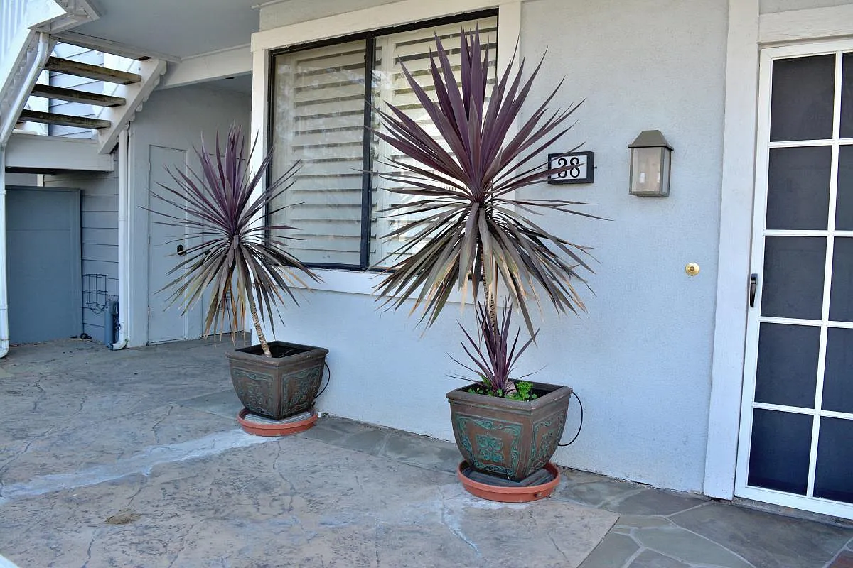 2 bed, 1000 sqft, $3,400 — Photo 4