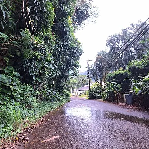3398 Kalihi St #TAPA — Photo 17